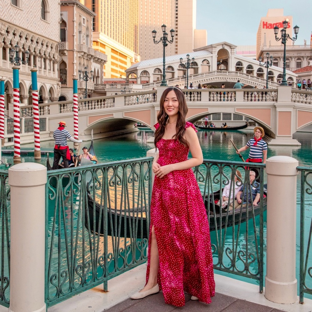 {NEW with Tags} Hollie Maxi Dress